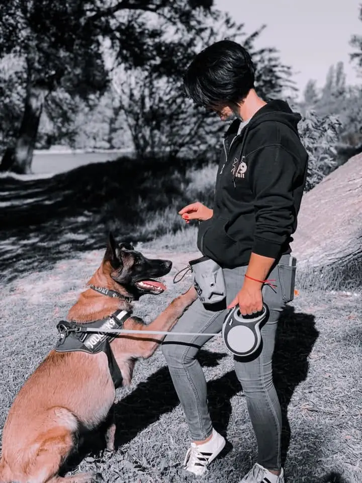Loki és Happy, Malinois kutyák